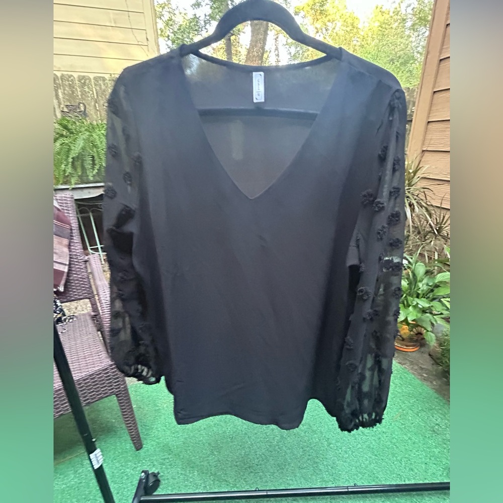Chic Black Sheer Sleeve Blouse